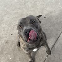 Photo of Zeus