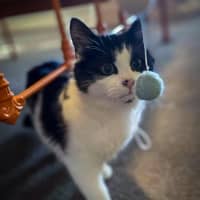 Photo of Maggie