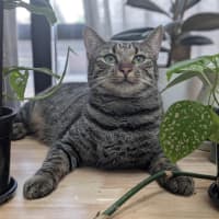 Photo of Eva   Located In Preston