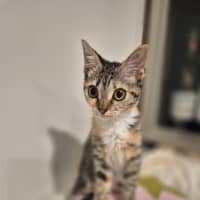Photo of Kiki