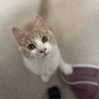 Photo of Momo