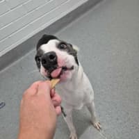 Photo of Zippy! 🪀