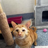 Photo of Bud