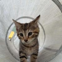 Photo of Gigi