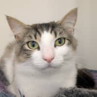 Photo of 🥥 Chester 5640 🥥