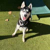 Photo of Axel