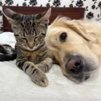 Photo of Peter & Griffin 