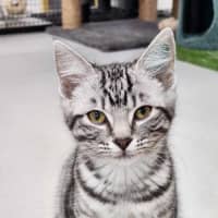 Photo of 🍰 Jam 5775 🍰