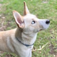Photo of Sugar