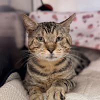 Photo of Bruce Wayne