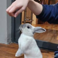 Photo of Billie Vacher