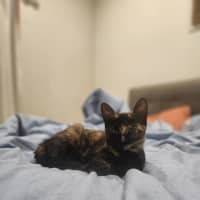 Photo of Milo Mudcake