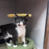 Photo of Quinnie