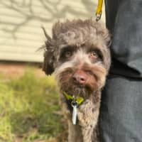 Photo of Jerry