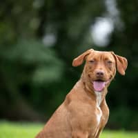 Photo of Sally