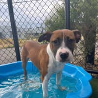 Photo of Zeke Imp 1305