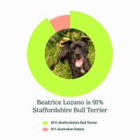 Photo of Beatrice Lozano