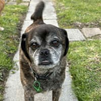 Photo of Covah And Teddy