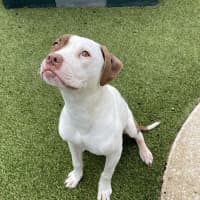 Photo of Maggie