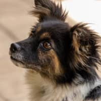 Photo of Betsy Moriarty