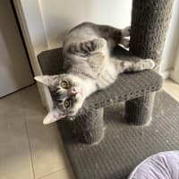 Photo of Dorothy
