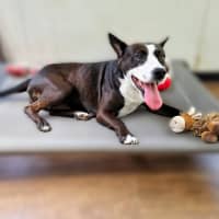 Photo of Maggie