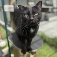 Photo of Little Buddy