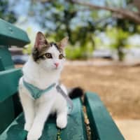 Photo of Nori & Nina