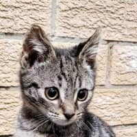 Photo of Monty