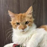 Photo of Oliver