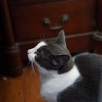 Photo of Rebecca