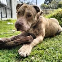 Photo of Theodorable