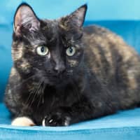 Photo of Elodie