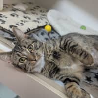 Photo of Milly