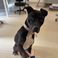 Photo of Denzel Woofington