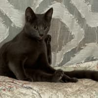 Photo of Ziggy