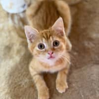 Photo of Jethro