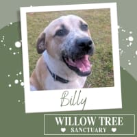 Photo of Billy