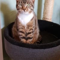 Photo of Luna