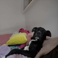 Photo of Sanka