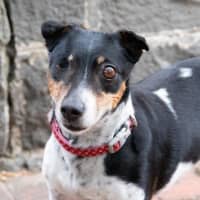 Photo of Bella Valenti