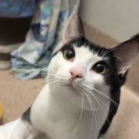 Photo of Latrell