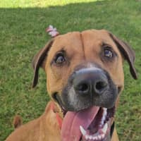 Photo of Taco