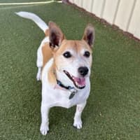 Photo of Billy