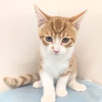 Photo of Sunny Boy