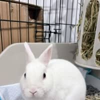 Photo of Kiki