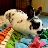 Photo of Strawberry And Popcorn 