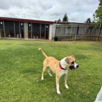 Photo of Rex