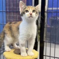 Photo of Lumen