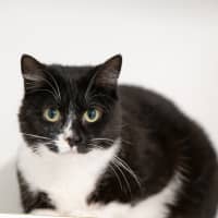 Photo of Molly